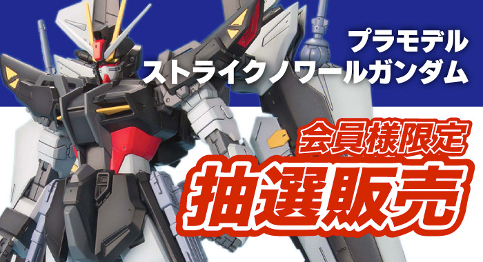 会員限定】「MG 1/100 ストライクノワールガンダム プラモデル